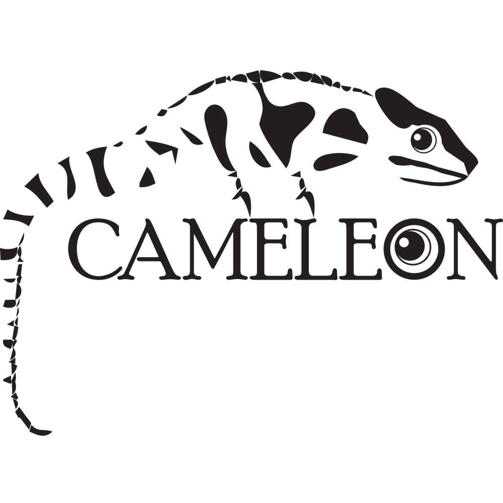 Logo Image
