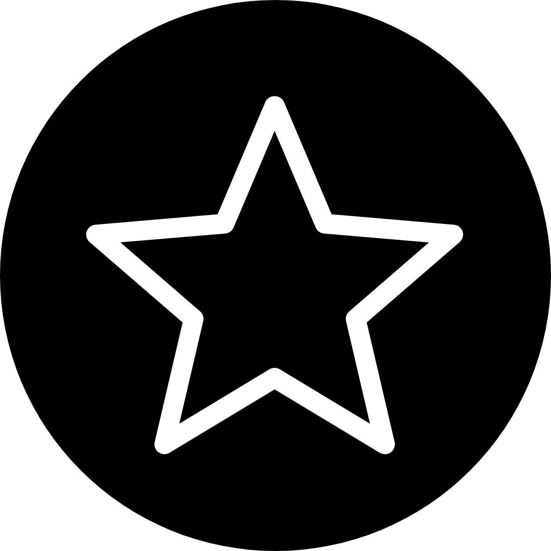 4.6/5 Star Google Rating